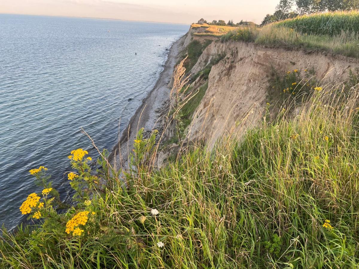 Segelund - Zeit Fuer Uns- Ruhige Und Sonnige Ferienwohnung Mit Terrasse Und Garten Nahe Strand Und Ostsee Schönhagen Eksteriør bilde