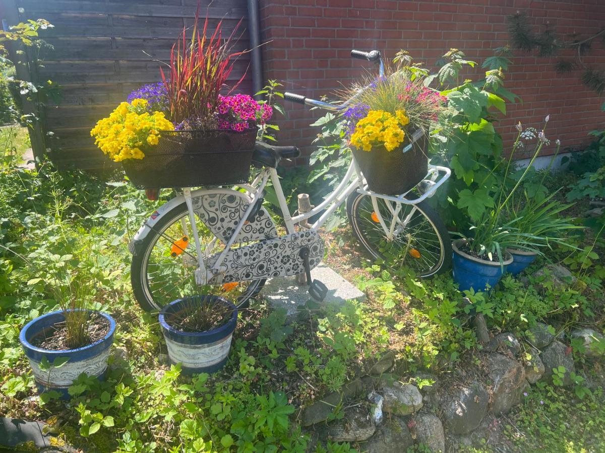 Segelund - Zeit Fuer Uns- Ruhige Und Sonnige Ferienwohnung Mit Terrasse Und Garten Nahe Strand Und Ostsee Schönhagen Eksteriør bilde